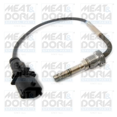 Sensor, exhaust gas temperature